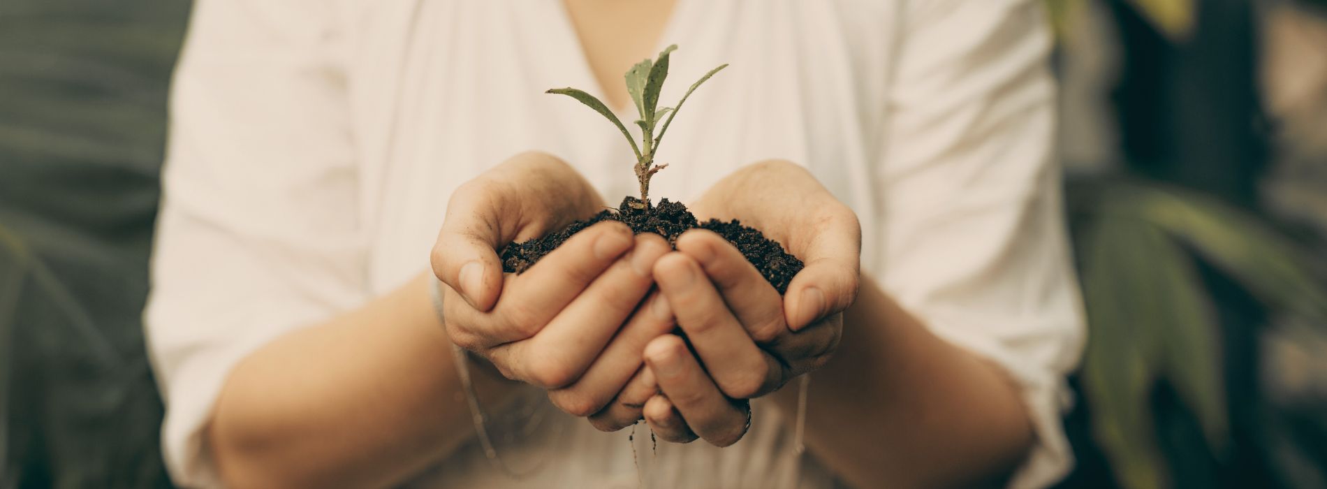embrace your calm gardening